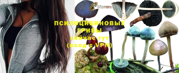 дурь Армянск