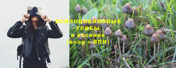 дурь Армянск