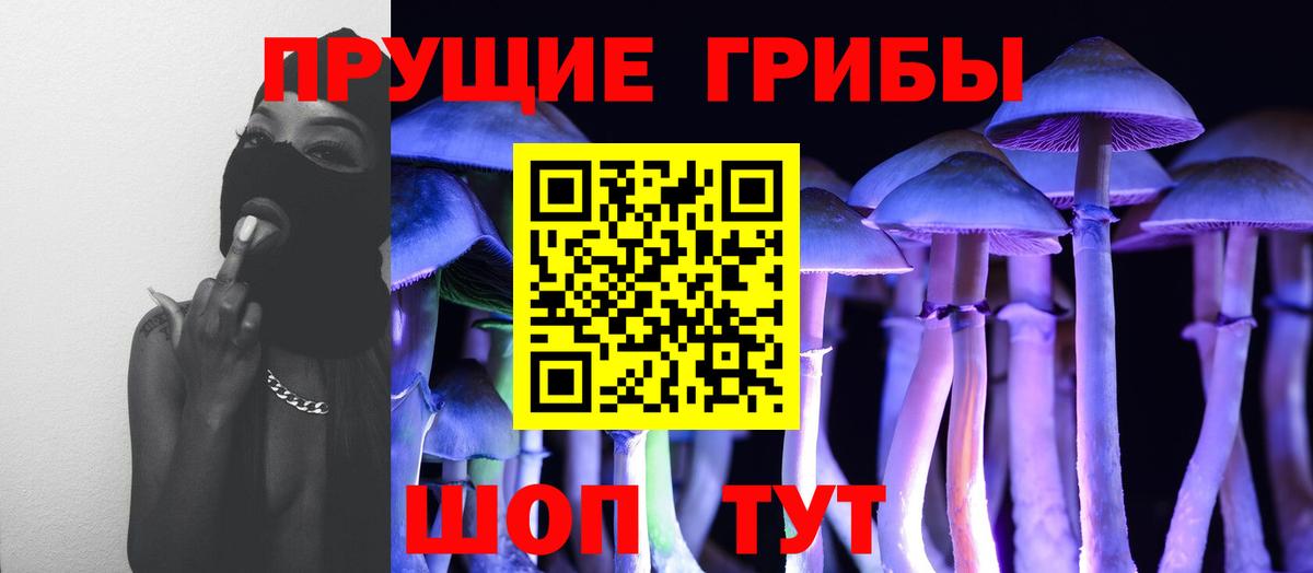 Псилоцибиновые грибы мицелий Усинск